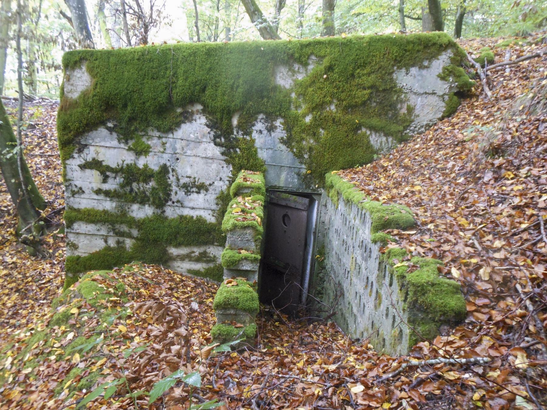 Ligne Maginot - HERBITZHEIM 30 - (Abri) - L'entrée - jean michel minich