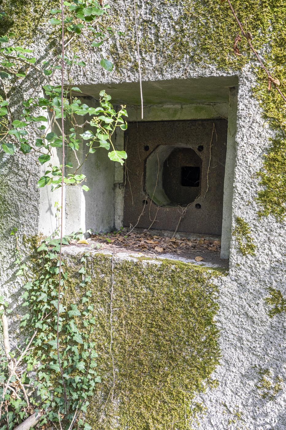 Ligne Maginot - B340 - RUE DE L'HOTEL - (Blockhaus pour canon) -  - Lia VERMEULEN