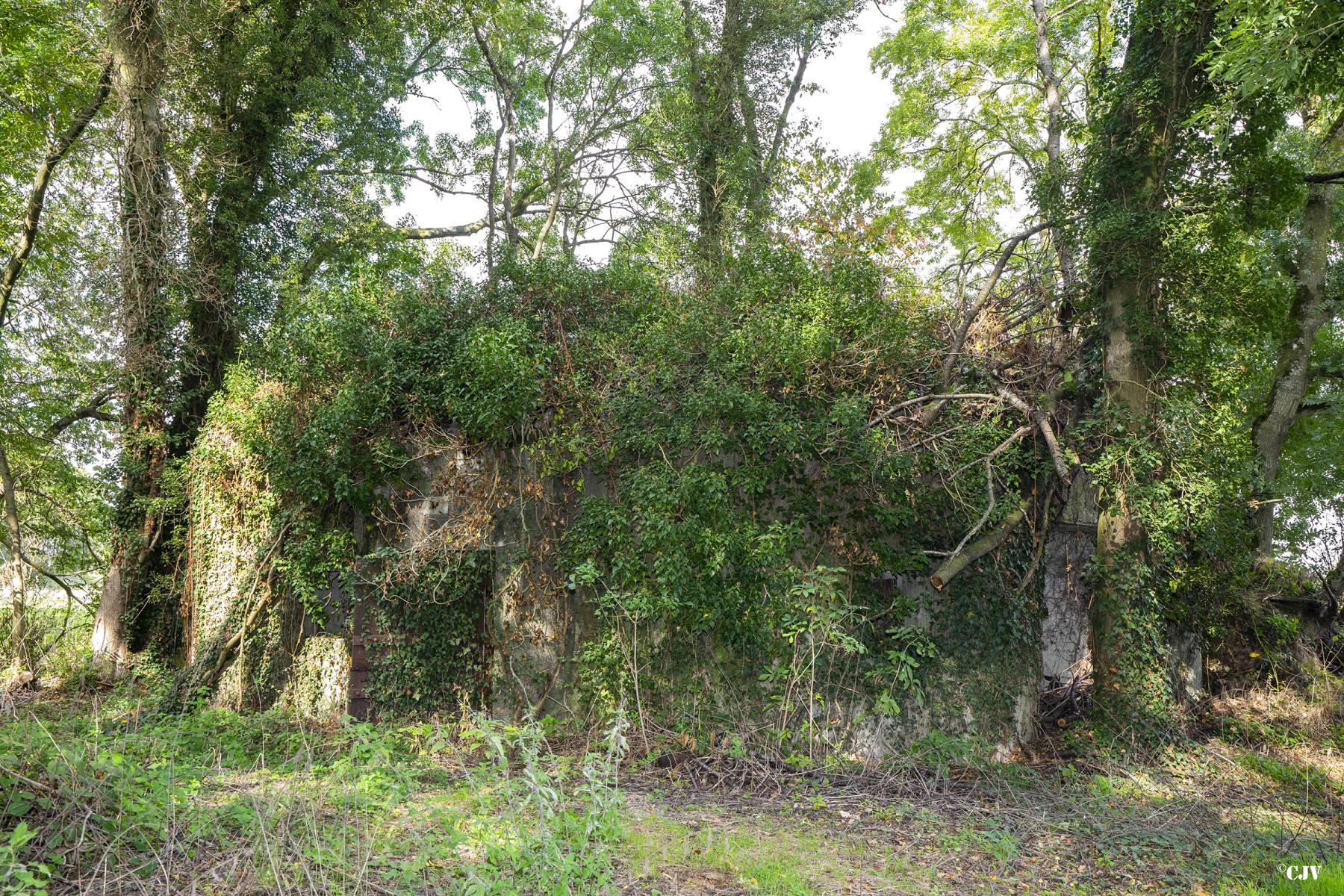 Ligne Maginot - B340 - RUE DE L'HOTEL - (Blockhaus pour canon) -  - Lia VERMEULEN