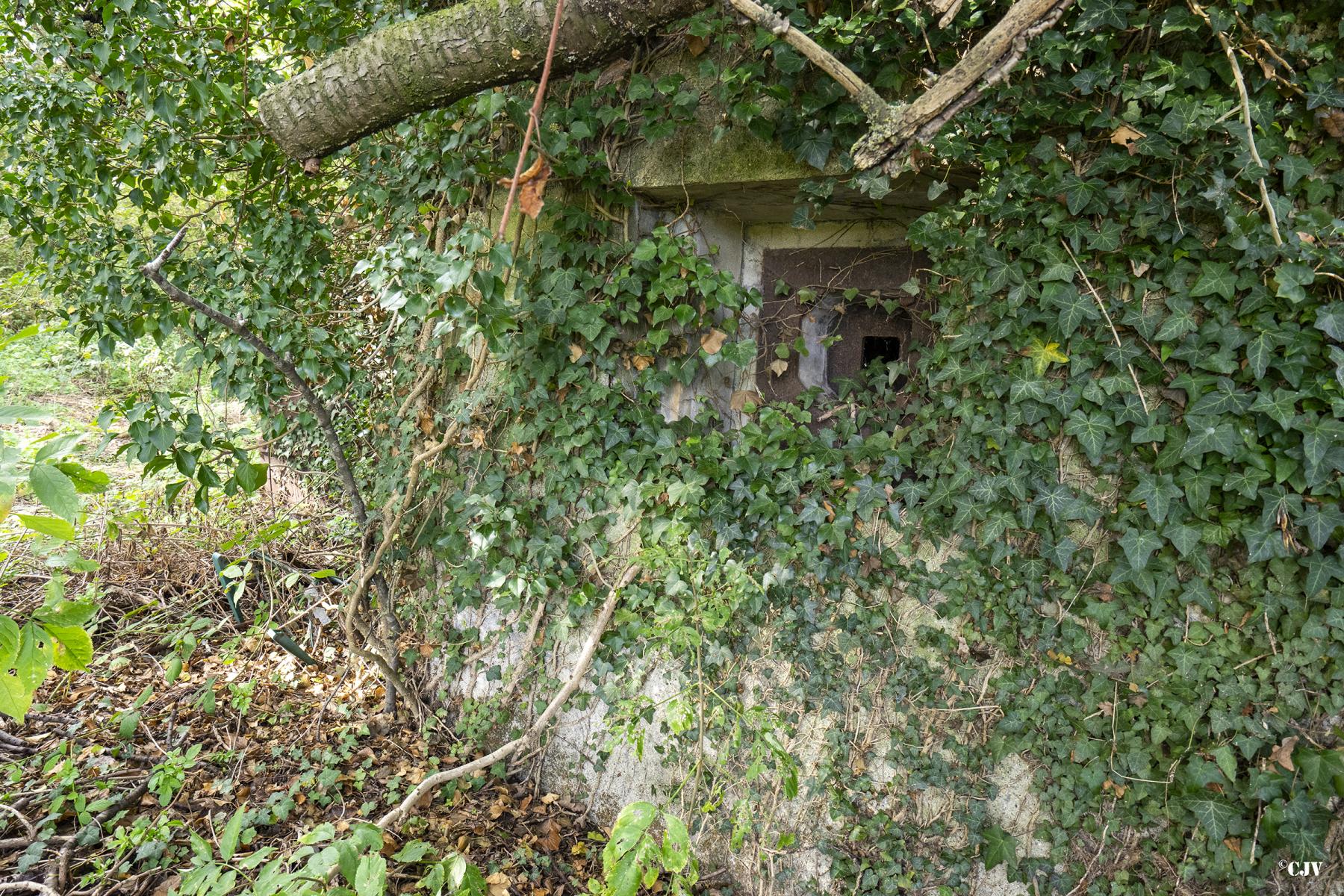 Ligne Maginot - B340 - RUE DE L'HOTEL - (Blockhaus pour canon) -  - Lia VERMEULEN