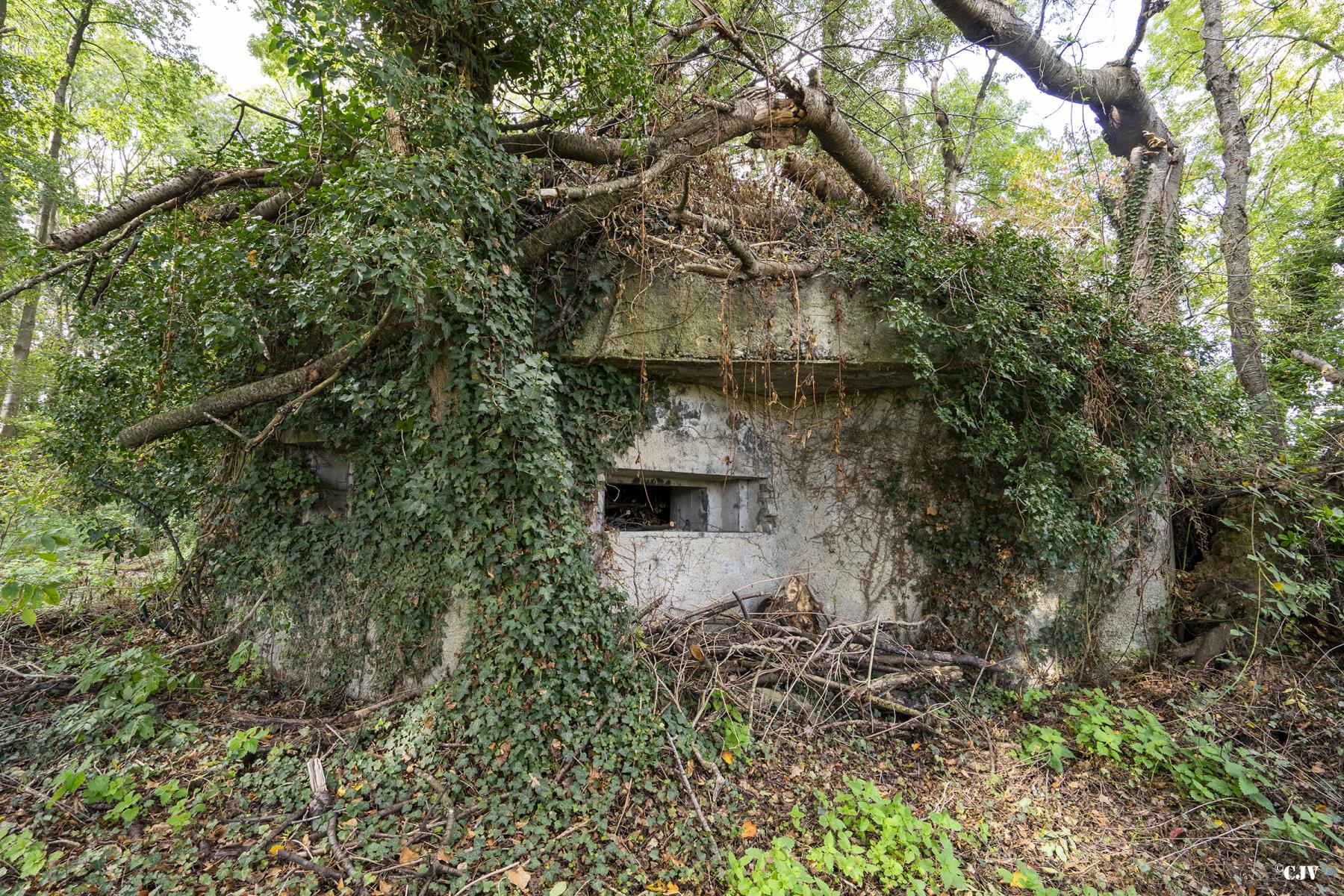 Ligne Maginot - B340 - RUE DE L'HOTEL - (Blockhaus pour canon) -  - Lia VERMEULEN