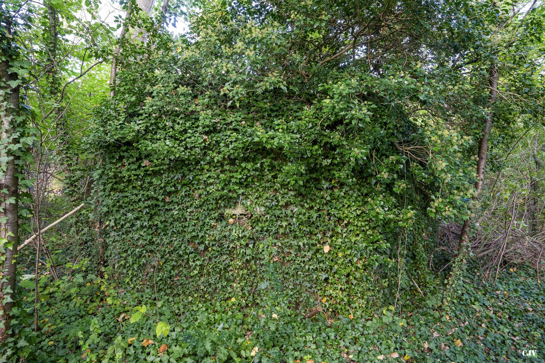 Ligne Maginot - BEF 503 - LA GARE SUD - (Blockhaus pour arme infanterie) - Le blockhaus bien camouflé - Lia VERMEULEN