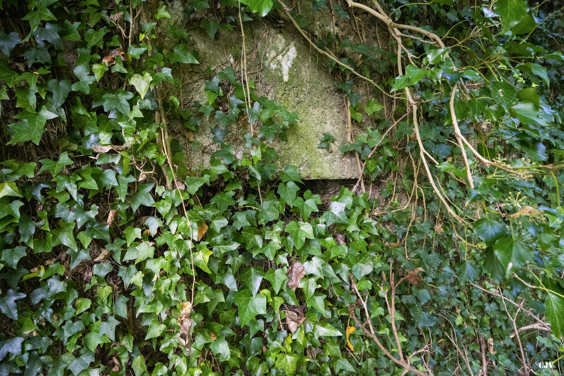 Ligne Maginot - BEF 503 - LA GARE SUD - (Blockhaus pour arme infanterie) -  - Lia VERMEULEN