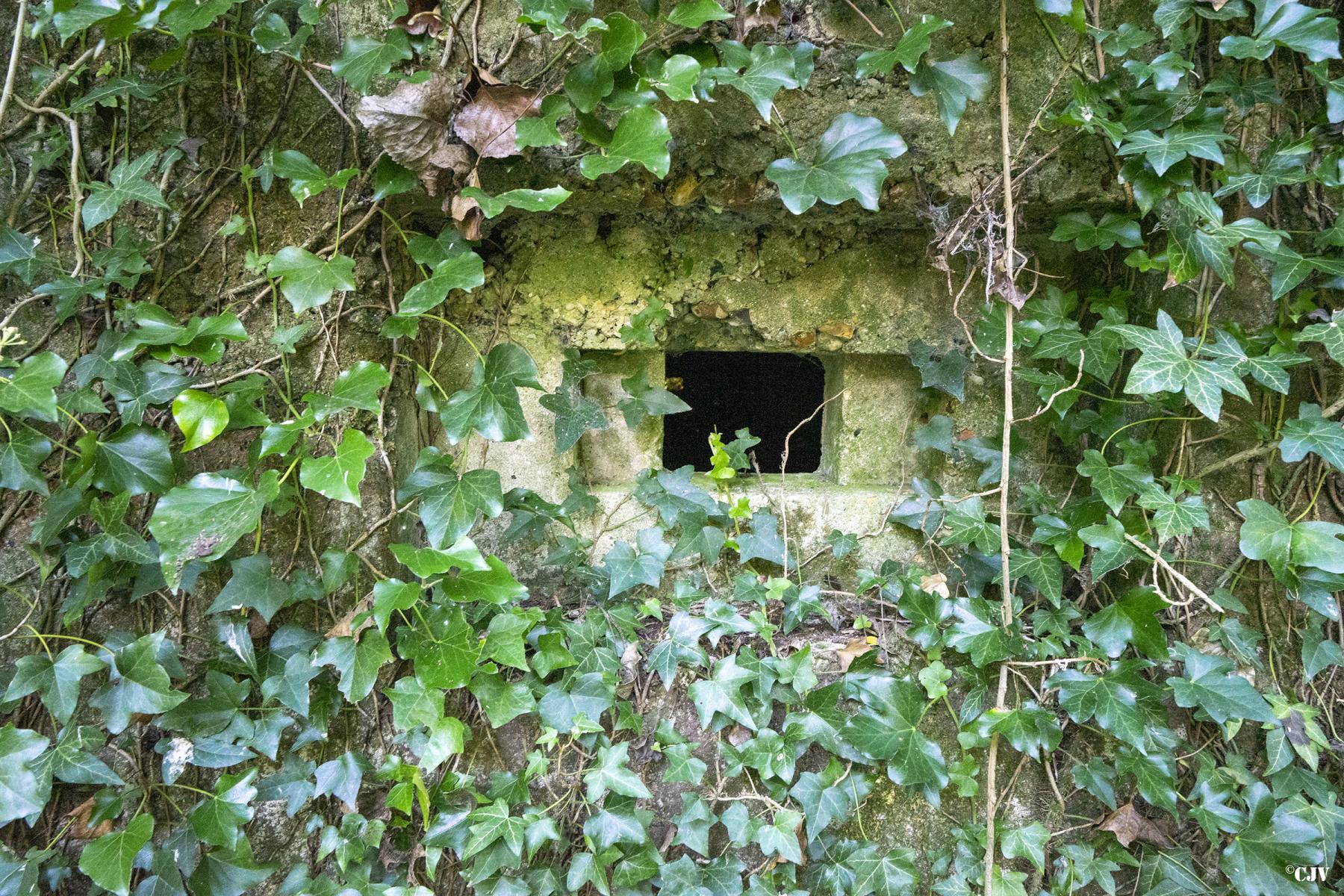 Ligne Maginot - BEF 503 - LA GARE SUD - (Blockhaus pour arme infanterie) -  - Lia VERMEULEN