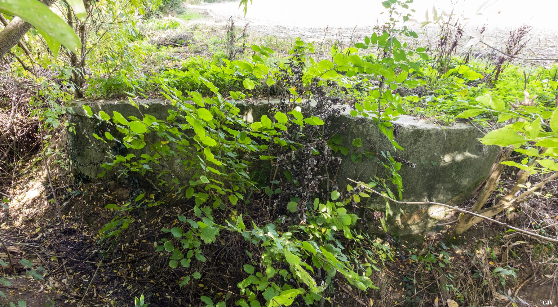 Ligne Maginot - T11 - STATION DE BACHY - (Cuve pour arme d'infanterie) -  - Lia VERMEULEN