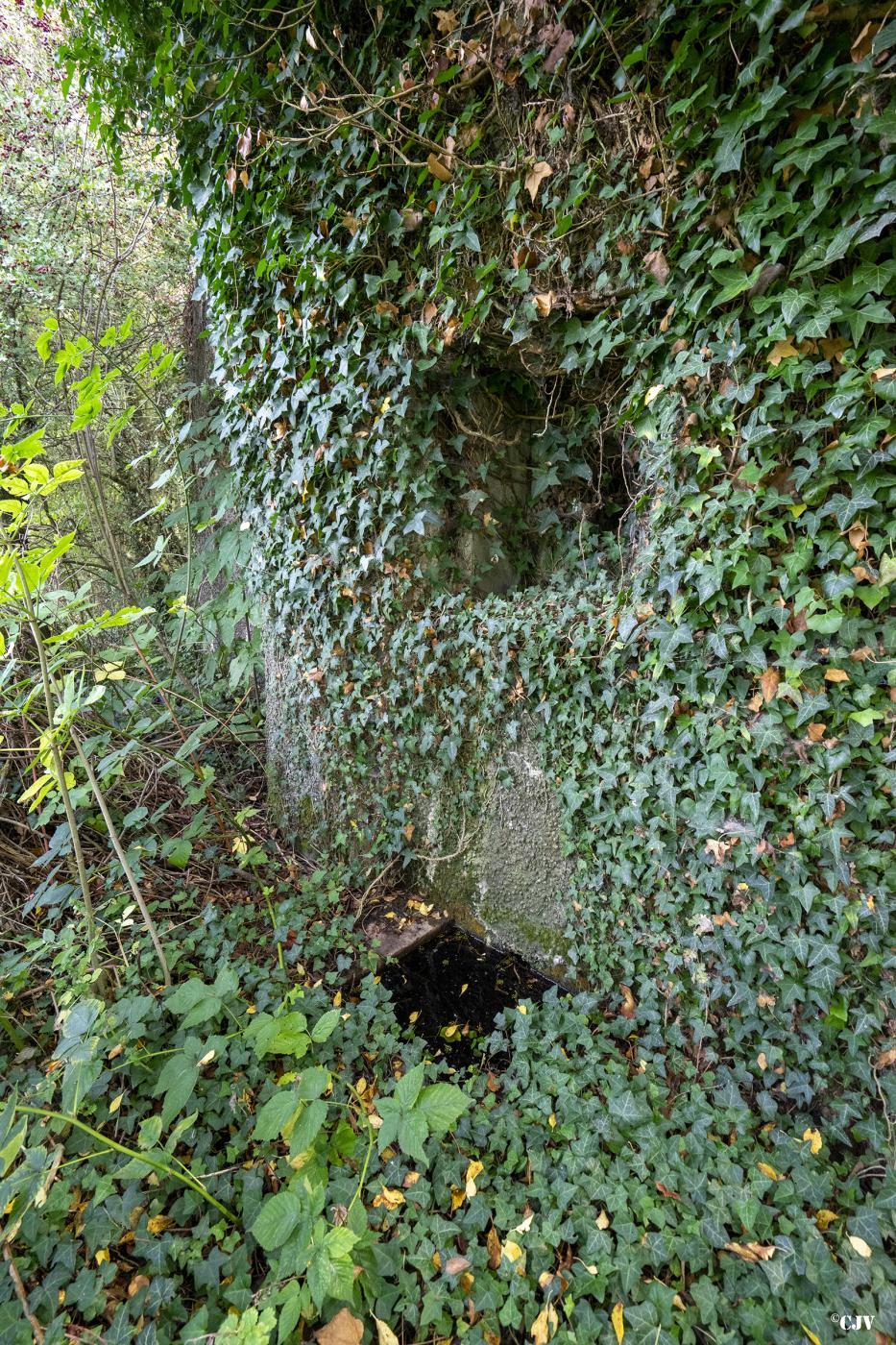 Ligne Maginot - B324 - CYSOING - (Blockhaus pour canon) -  - Lia VERMEULEN