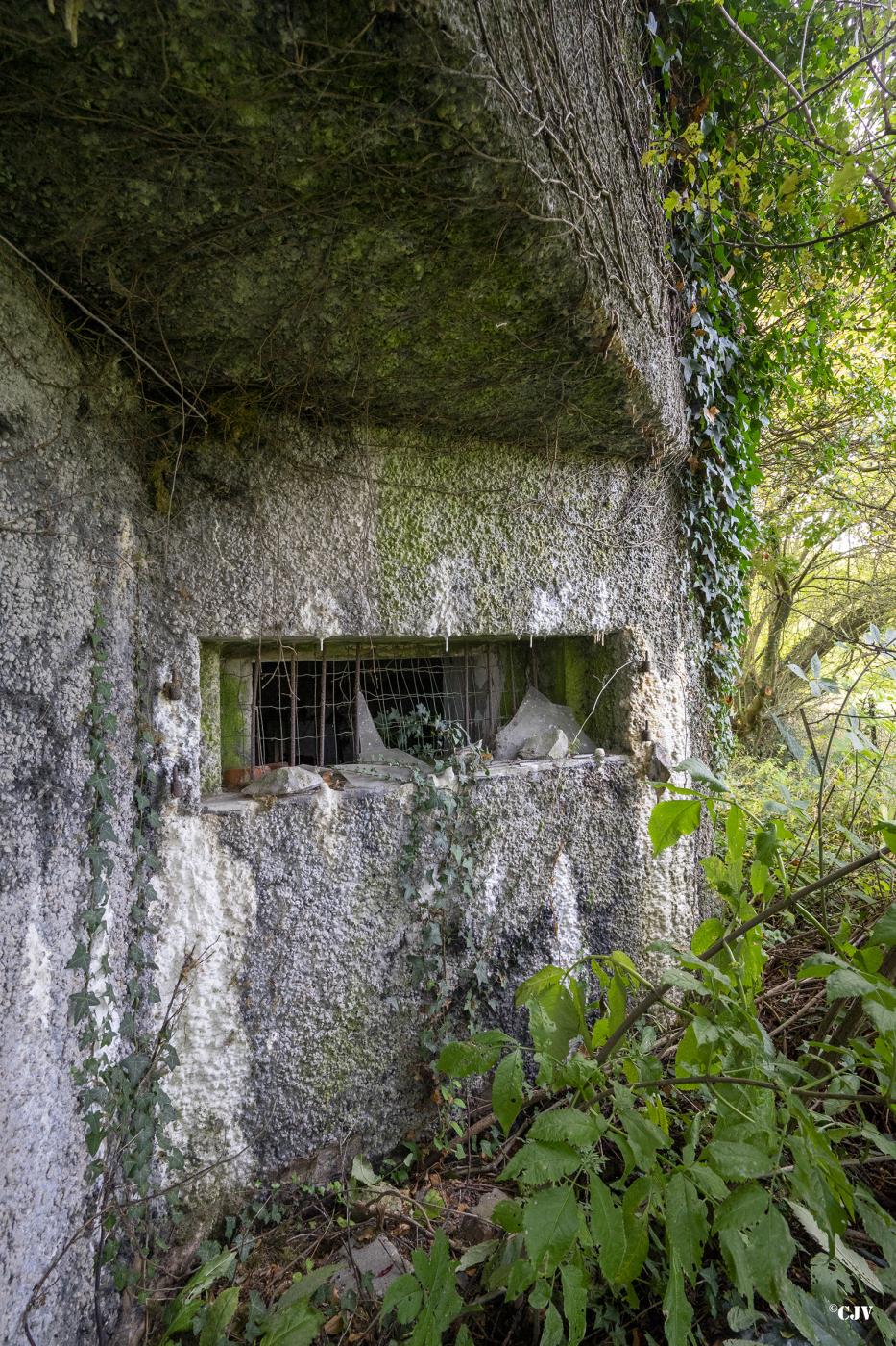 Ligne Maginot - B324 - CYSOING - (Blockhaus pour canon) -  - Lia VERMEULEN