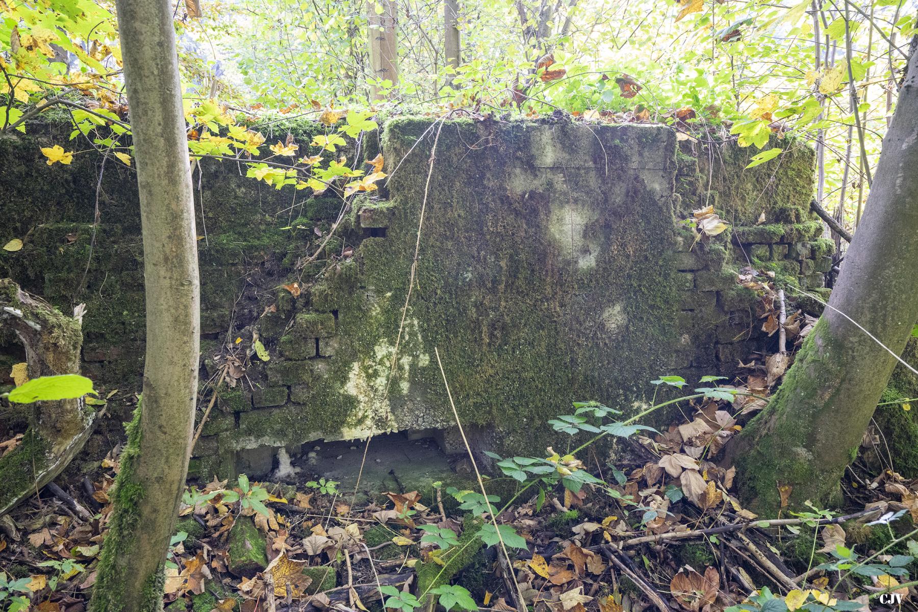 Ligne Maginot - BEF 313A - LES BRUYERES OUEST - (Blockhaus pour arme infanterie) -  - Lia VERMEULEN