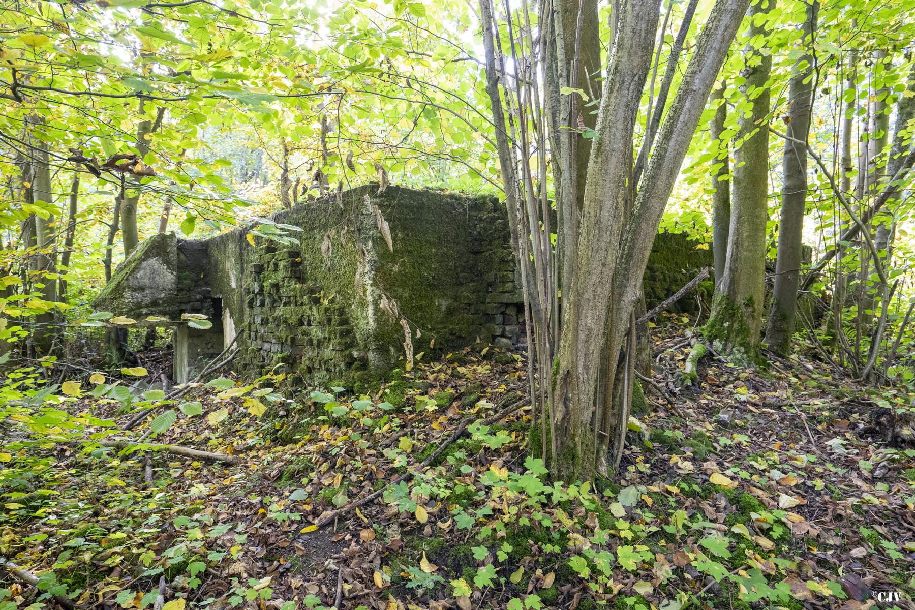 Ligne Maginot - BEF 313A - LES BRUYERES OUEST - (Blockhaus pour arme infanterie) -  - Lia VERMEULEN