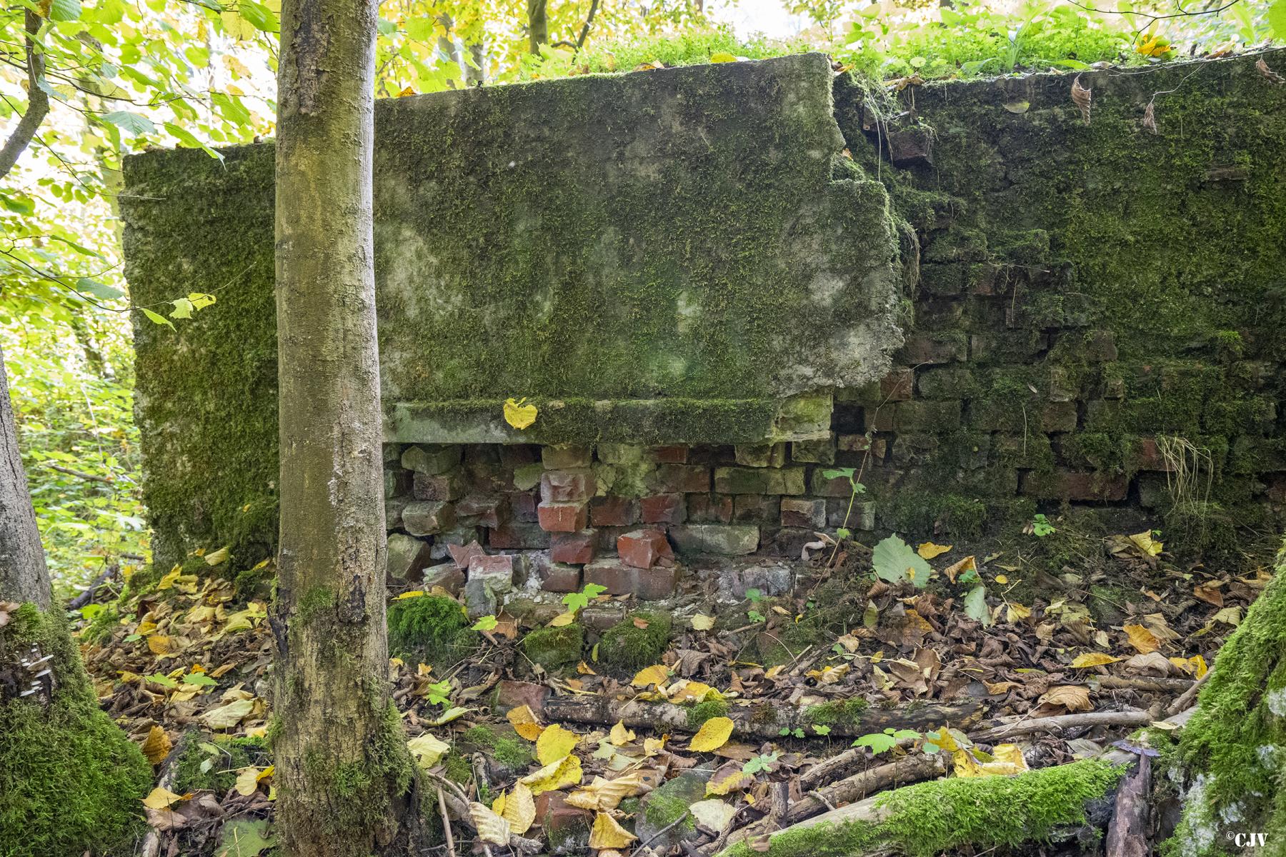 Ligne Maginot - BEF 313A - LES BRUYERES OUEST - (Blockhaus pour arme infanterie) - Le mur de camouflage en briques - Lia VERMEULEN
