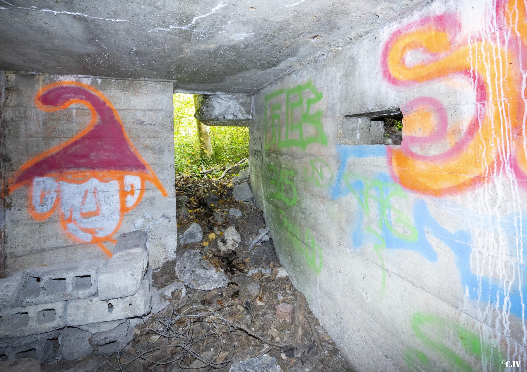 Ligne Maginot - BEF 313A - LES BRUYERES OUEST - (Blockhaus pour arme infanterie) -  - Lia VERMEULEN