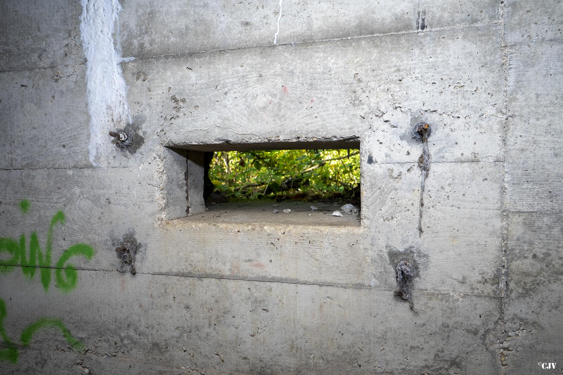 Ligne Maginot - BEF 313A - LES BRUYERES OUEST - (Blockhaus pour arme infanterie) - Créneau principal - Lia VERMEULEN