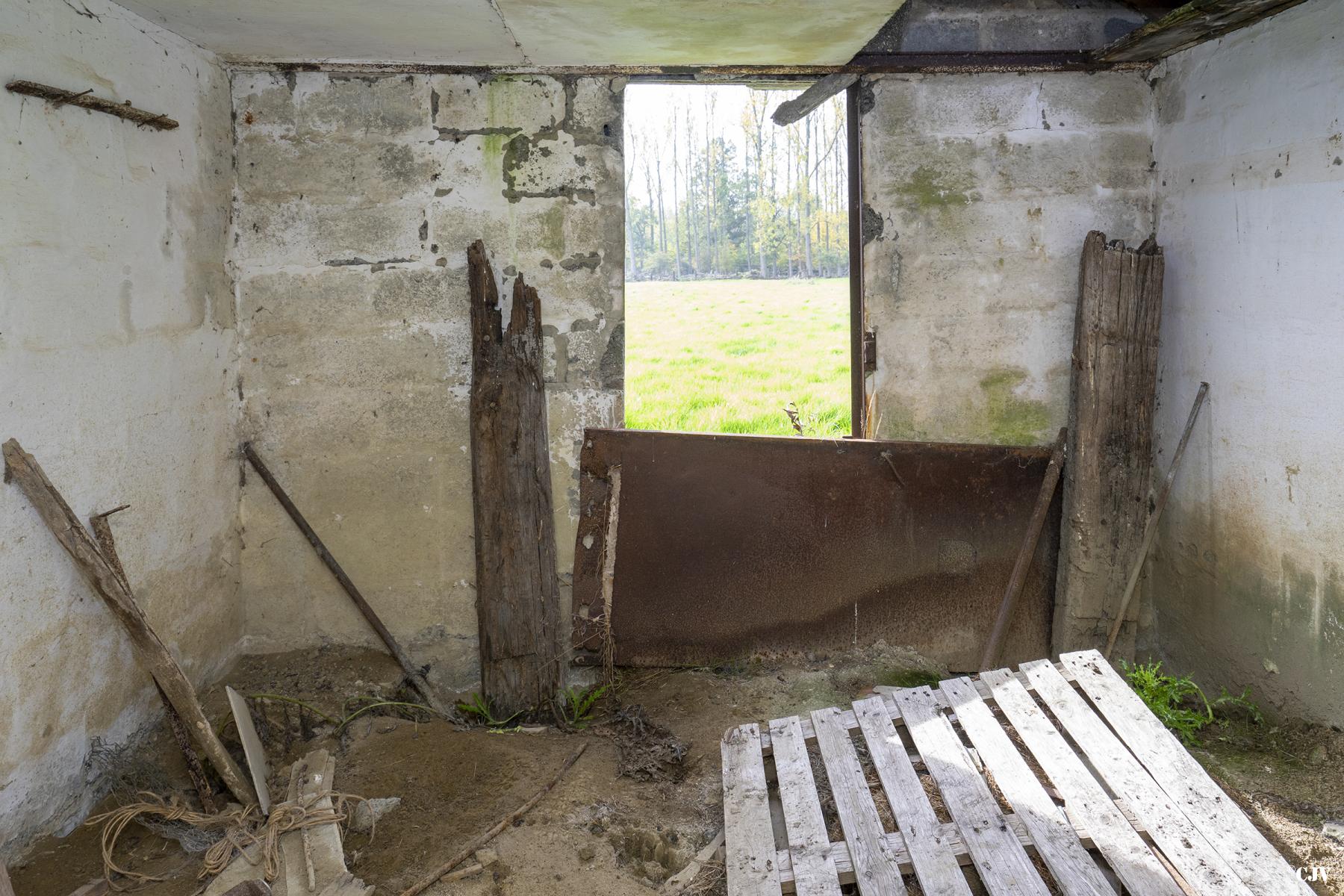 Ligne Maginot - BEF 313C - LES BRUYERES SUD - (Blockhaus pour arme infanterie) -  - Lia VERMEULEN