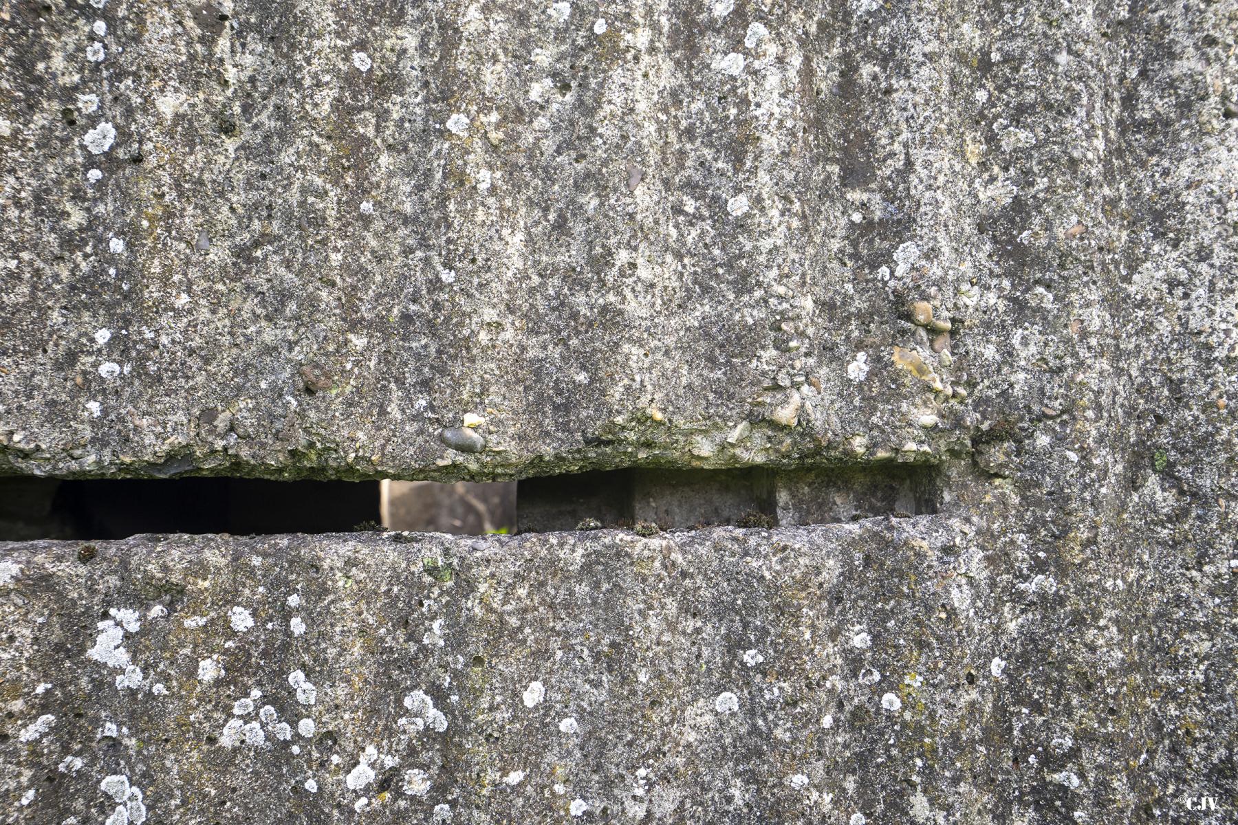 Ligne Maginot - BEF 317 - LES PACHENIERS - (Observatoire d'artillerie) - Créneau d'observation - Lia VERMEULEN