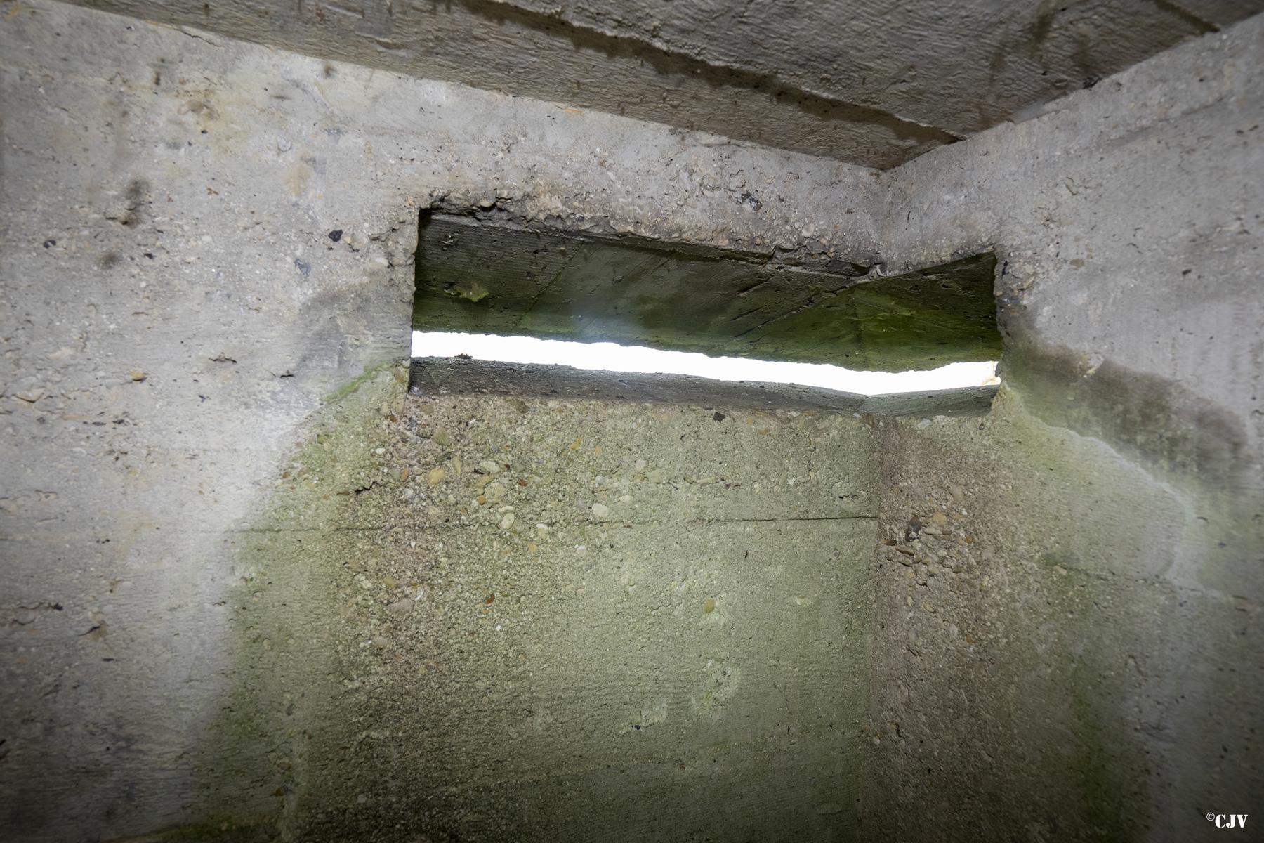 Ligne Maginot - BEF 317 - LES PACHENIERS - (Observatoire d'artillerie) -  - Lia VERMEULEN