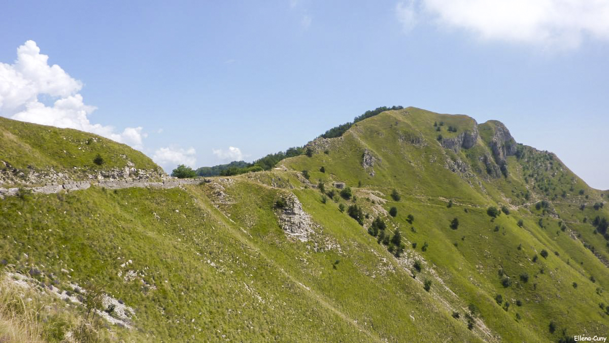 Ligne Maginot - LA DEA (D) - (Abri actif) - 