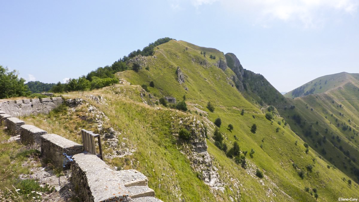 Ligne Maginot - LA DEA (D) - (Abri actif) -  - Ellena-Cuny