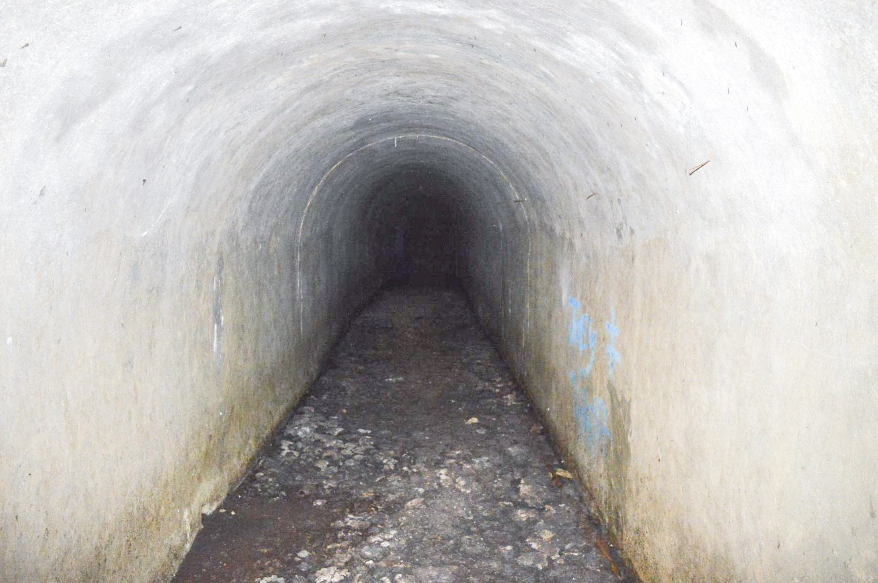 Ligne Maginot - LA DEA (D) - (Abri actif) - Au premier plan lavabos, au fond dortoir pour 40 hommes - PRASIL Michal