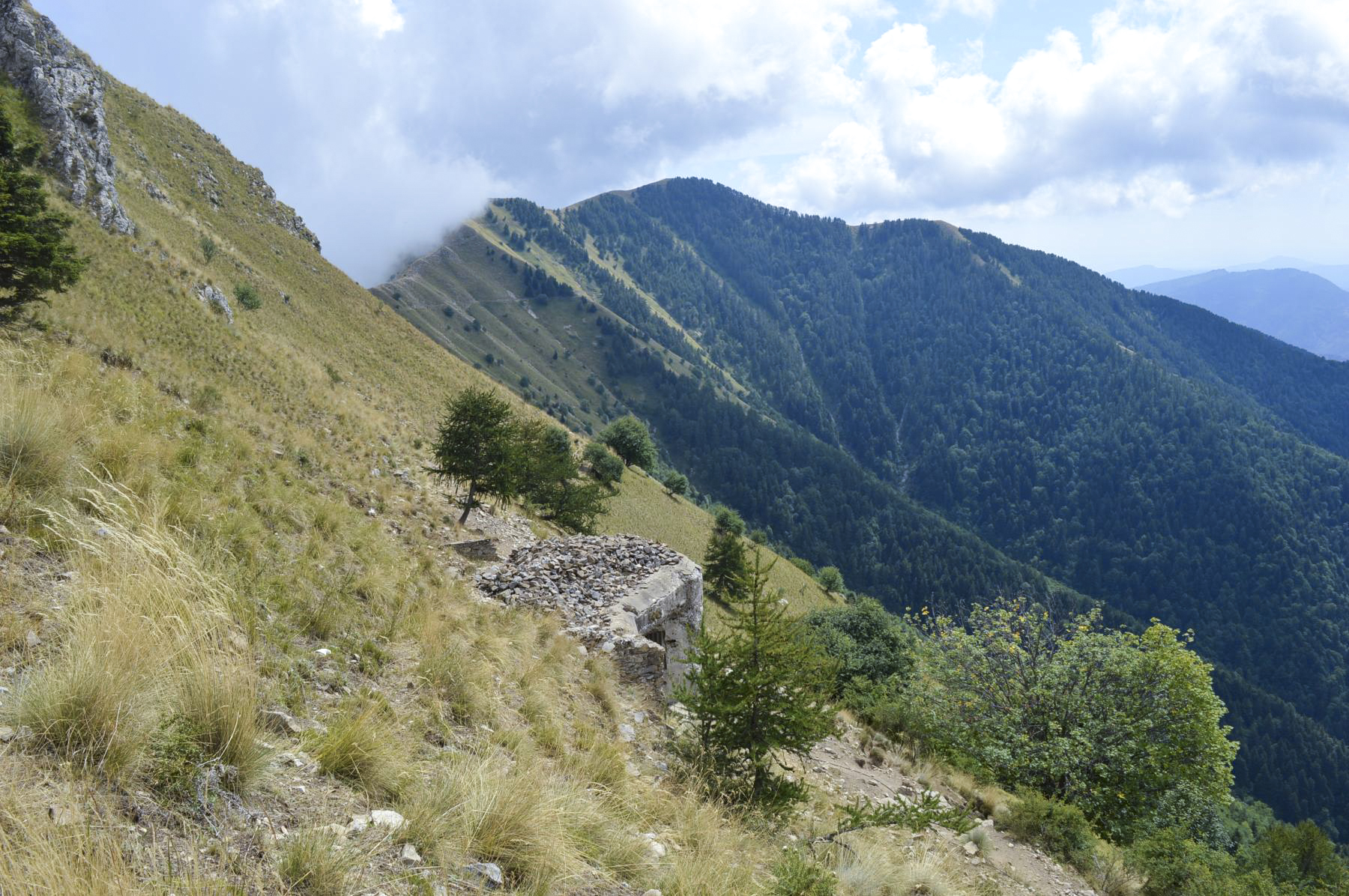 Ligne Maginot - LA DEA (D) - (Abri actif) - Bloc 2 - PRASIL Michal