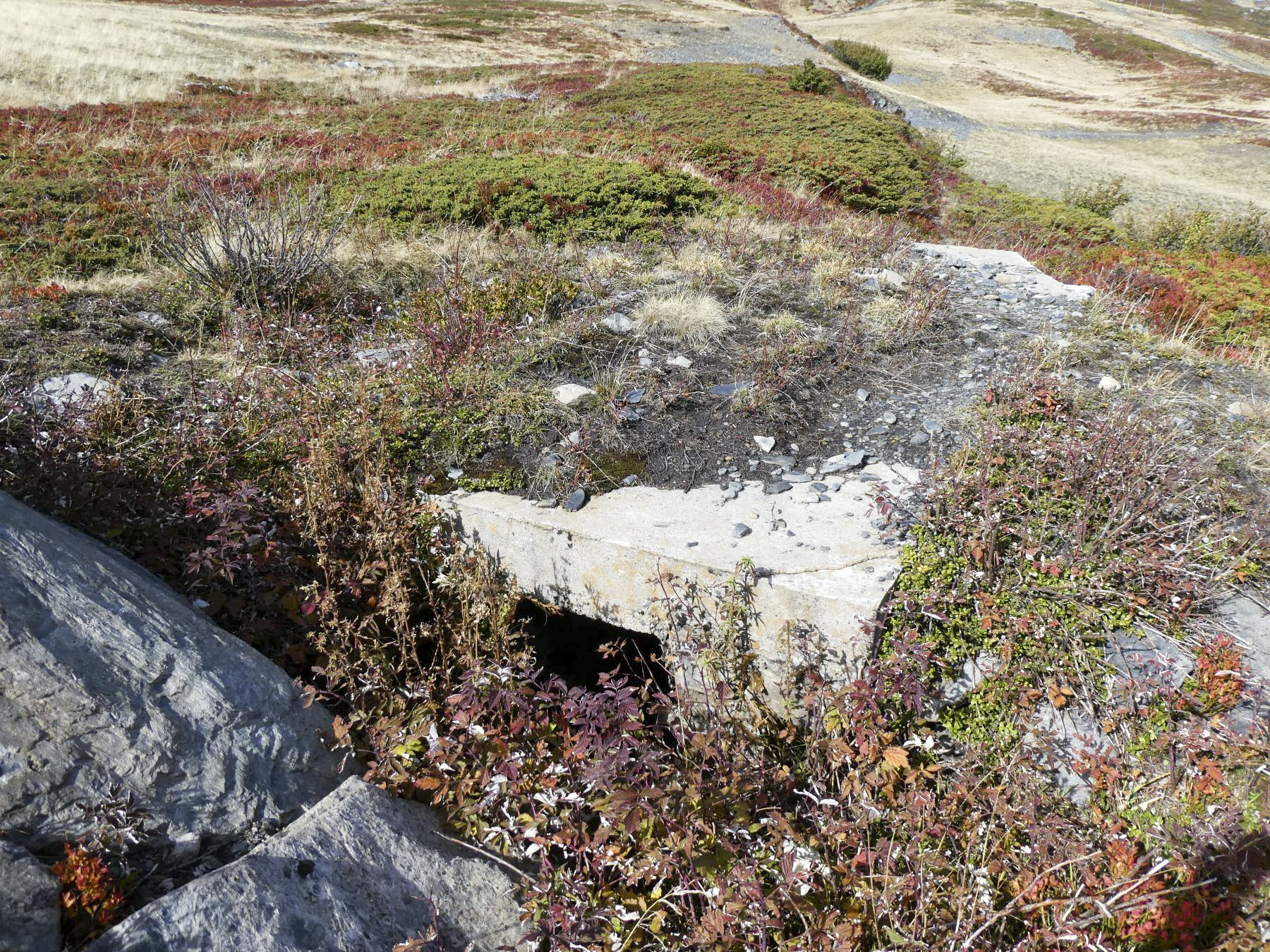 Ligne Maginot - PLAN DU REPOS 1 - (Blockhaus pour arme infanterie) -  - ELLENA Daniel - CUNY Philippe