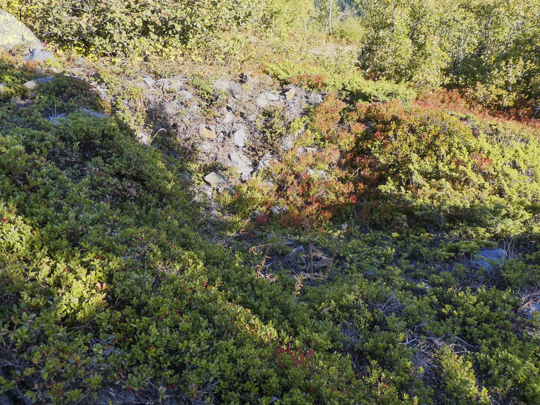 Ligne Maginot - LES EUCHERTS - (Blockhaus pour arme infanterie) -  - ELLENA Daniel - CUNY Philippe