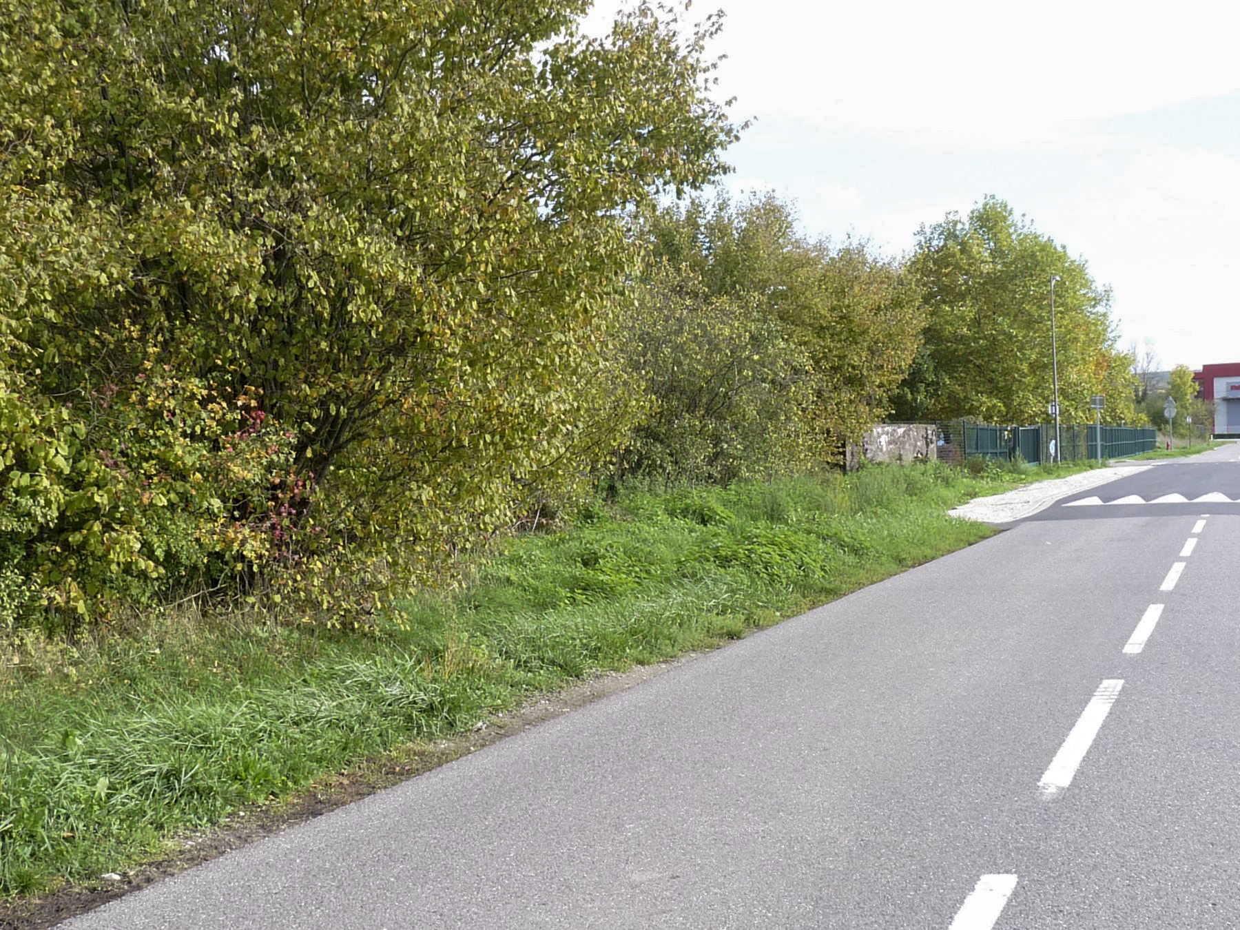 Ligne Maginot - MOULIN-NEUF OUEST - (Blockhaus pour arme infanterie) -  - Sylvie Laure LAMBERT