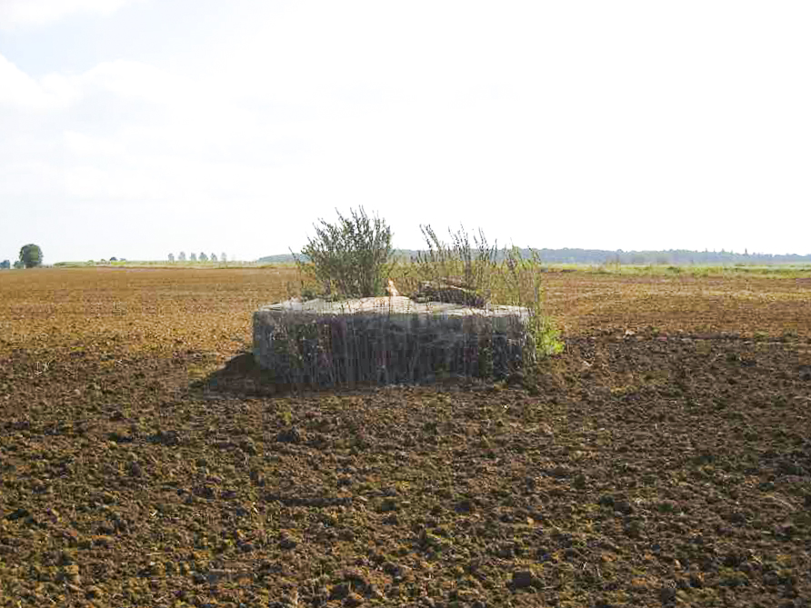 Ligne Maginot - DT15C - (Cuve pour arme d'infanterie) -  - Pruzsina jérome