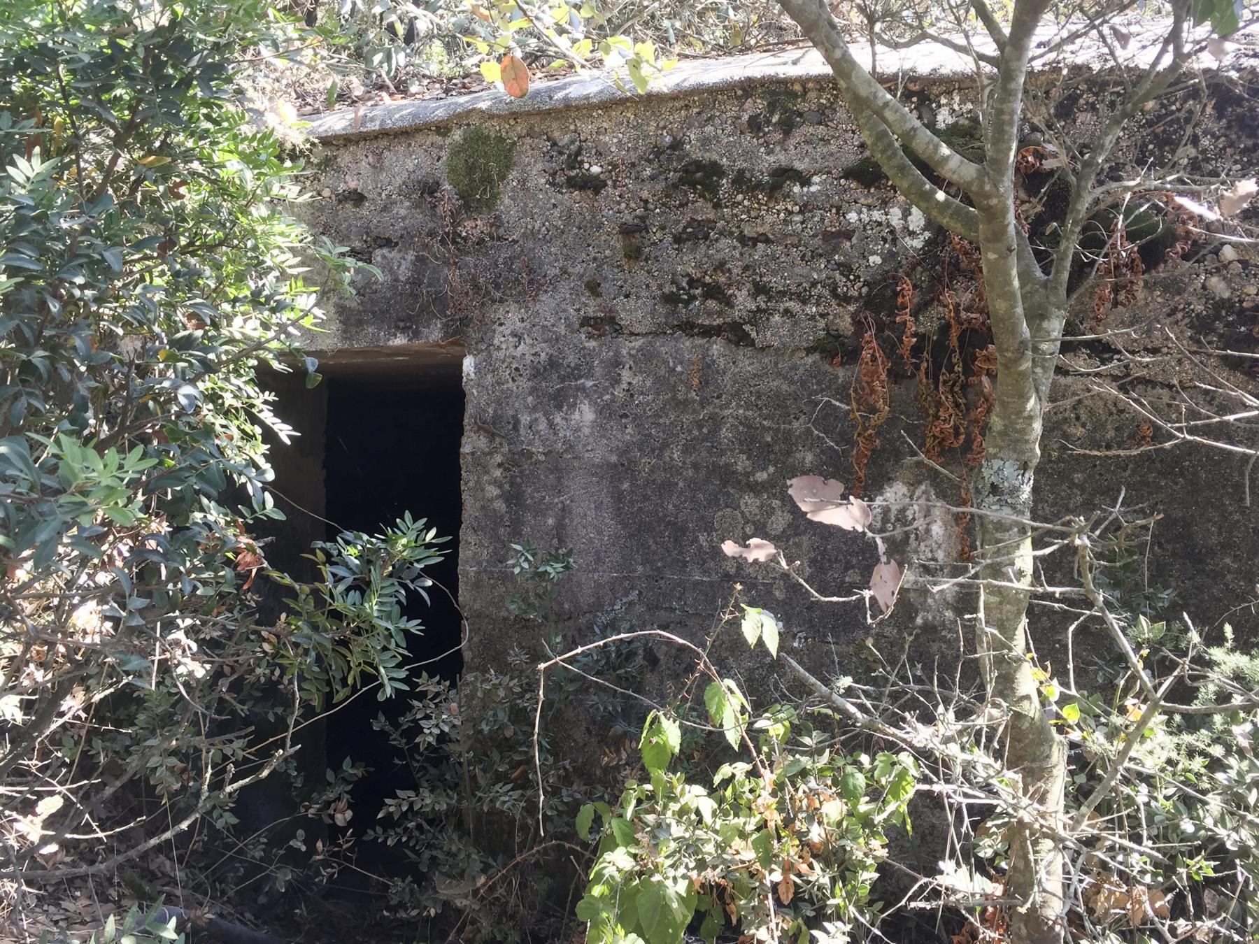 Ligne Maginot - CARDICCIA - (Blockhaus pour arme infanterie) -  - Fabien-Hubert Leclercq