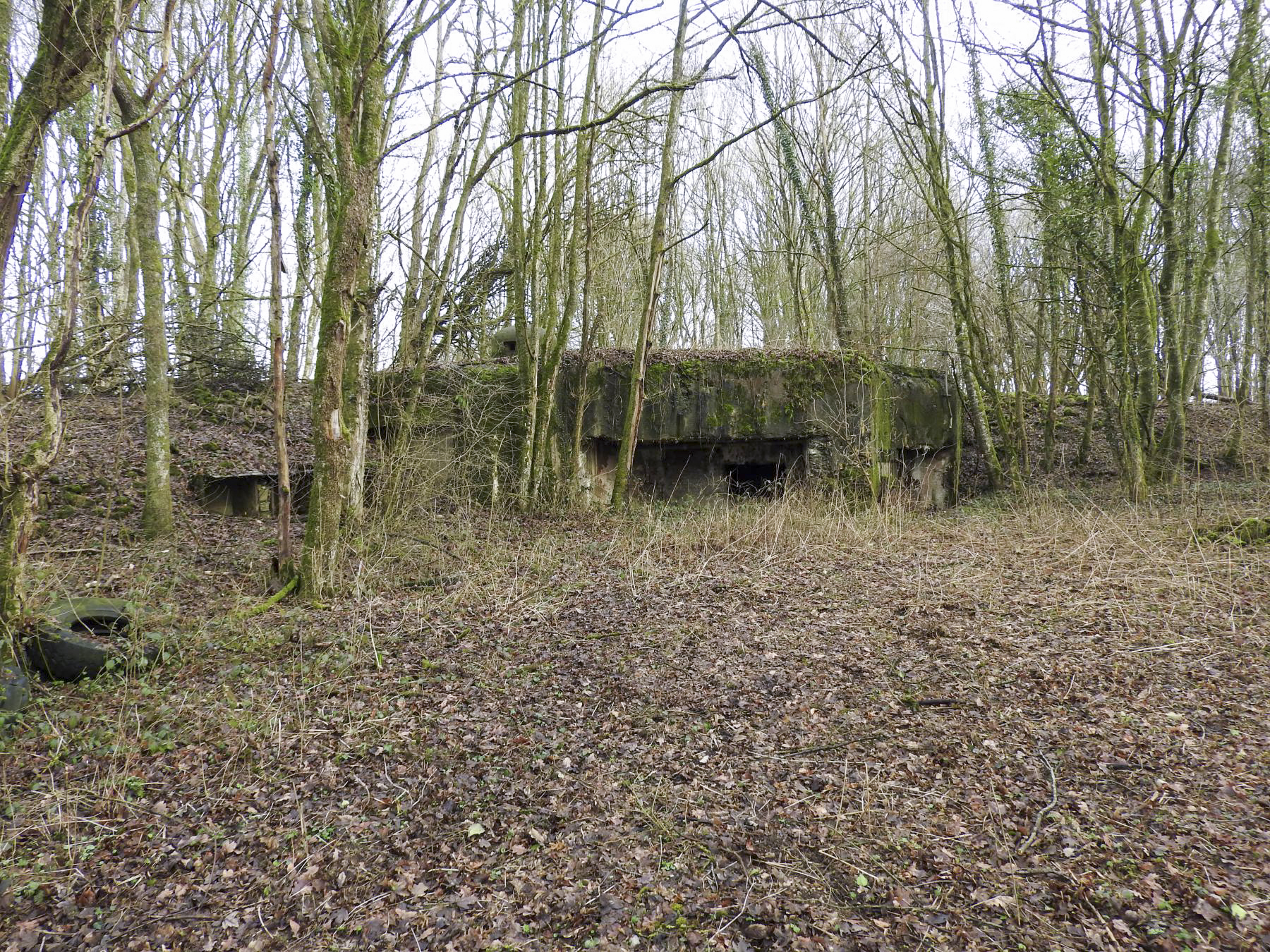 Ligne Maginot - GROS BOIS - C35 - (Casemate d'infanterie - Simple) -  - STENGER Mathieu
