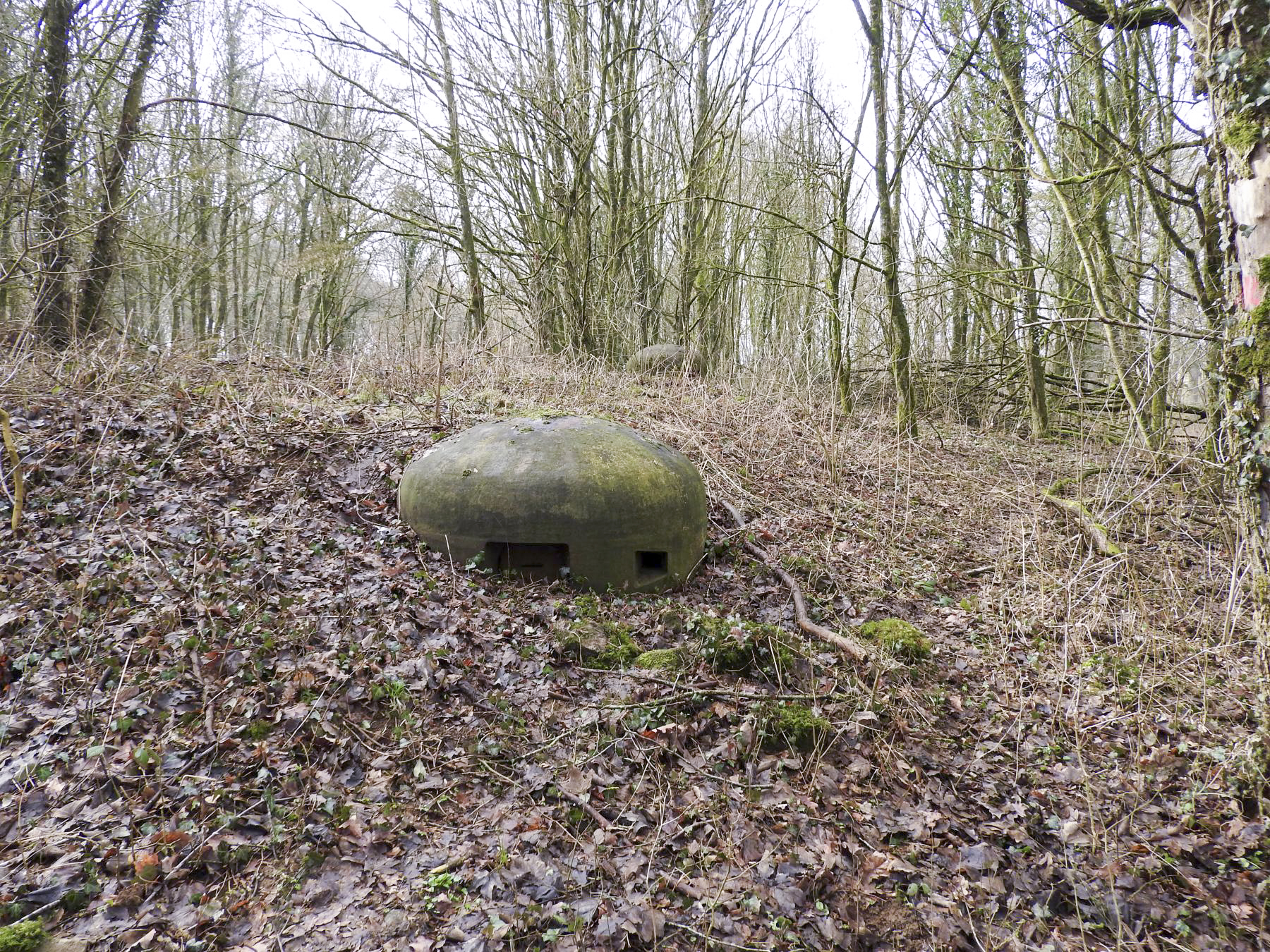 Ligne Maginot - GROS BOIS - C35 - (Casemate d'infanterie - Simple) - Le dessus de la casemate avec les cloches JM devant et GFM à l'arrière. - STENGER Mathieu