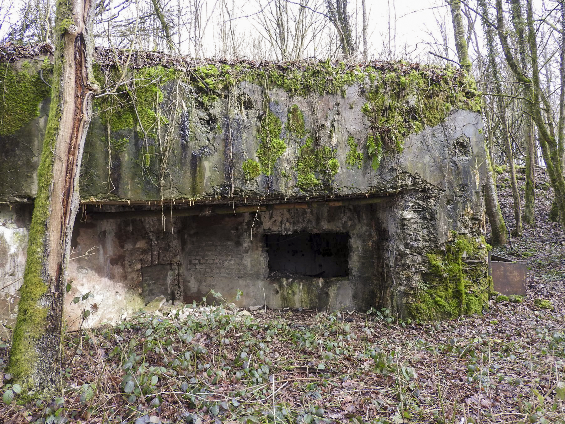 Ligne Maginot - GROS BOIS - C35 - (Casemate d'infanterie - Simple) - La façade de la chambre de tir. - STENGER Mathieu