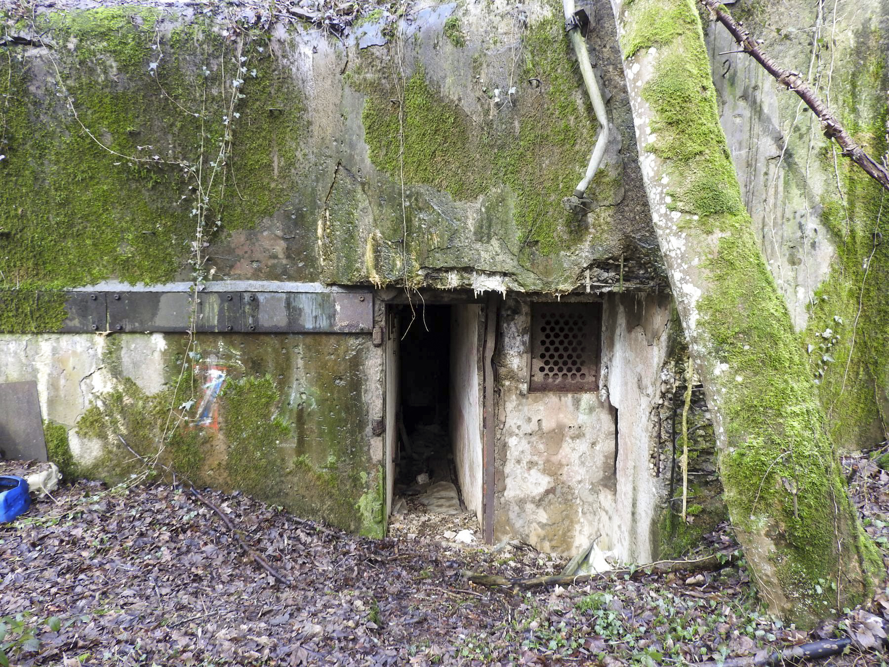 Ligne Maginot - GROS BOIS - C35 - (Casemate d'infanterie - Simple) - L'entrée de la casemate. - STENGER Mathieu