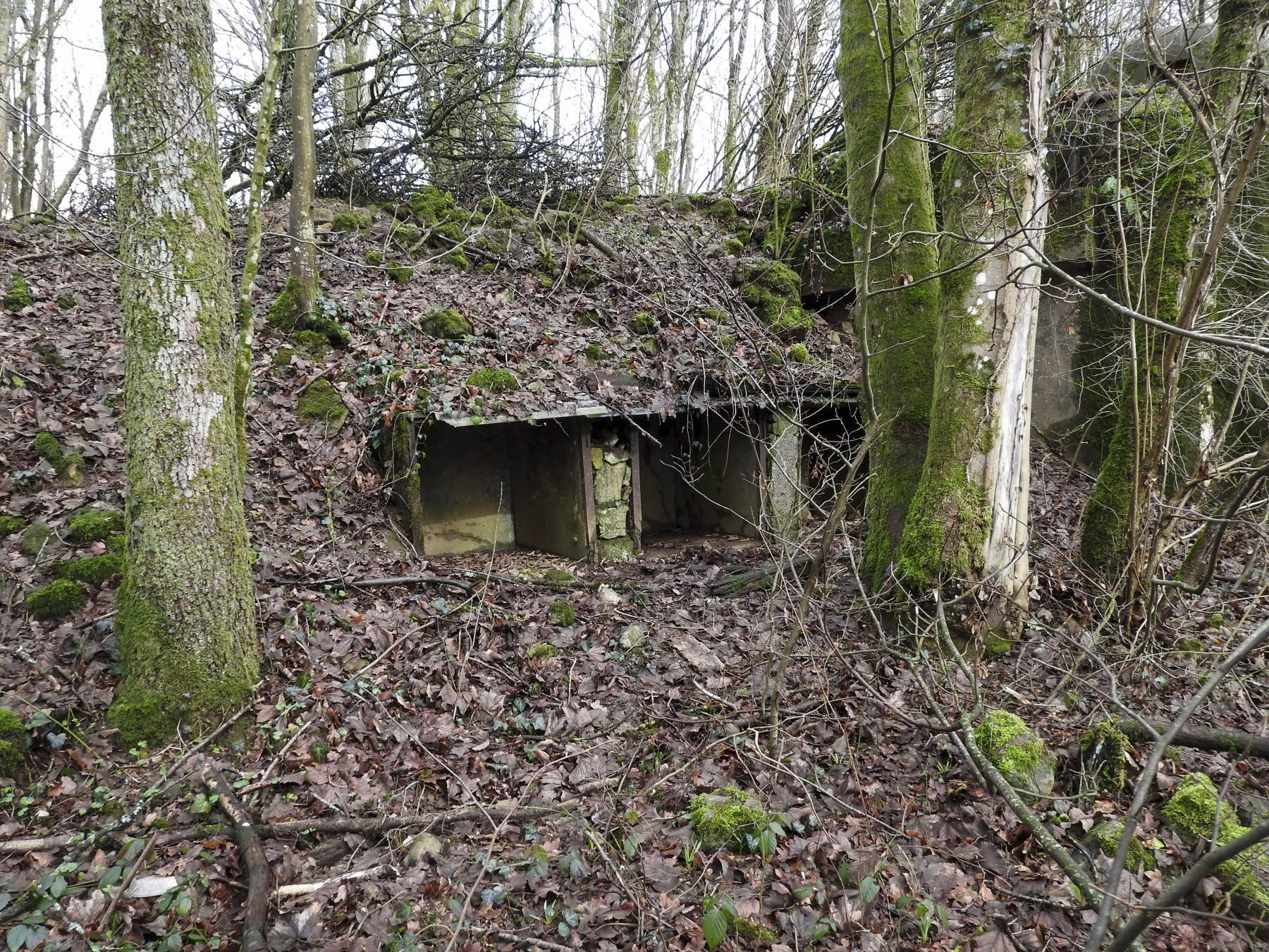 Ligne Maginot - GROS BOIS - C35 - (Casemate d'infanterie - Simple) - Les niches à mines et à matériels. - STENGER Mathieu