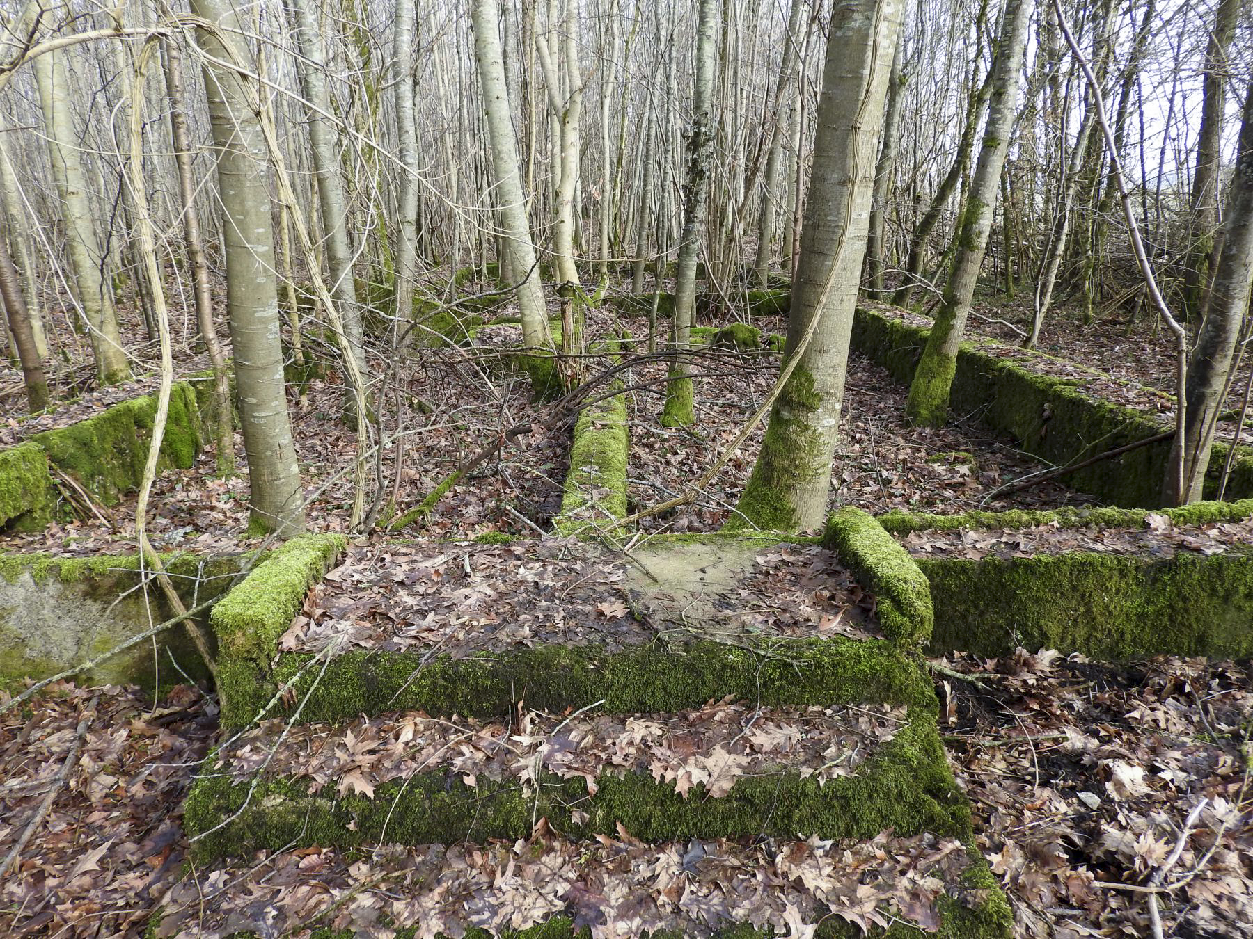 Ligne Maginot - GROS BOIS - (Casernement) - L'entrée principale. - STENGER Mathieu