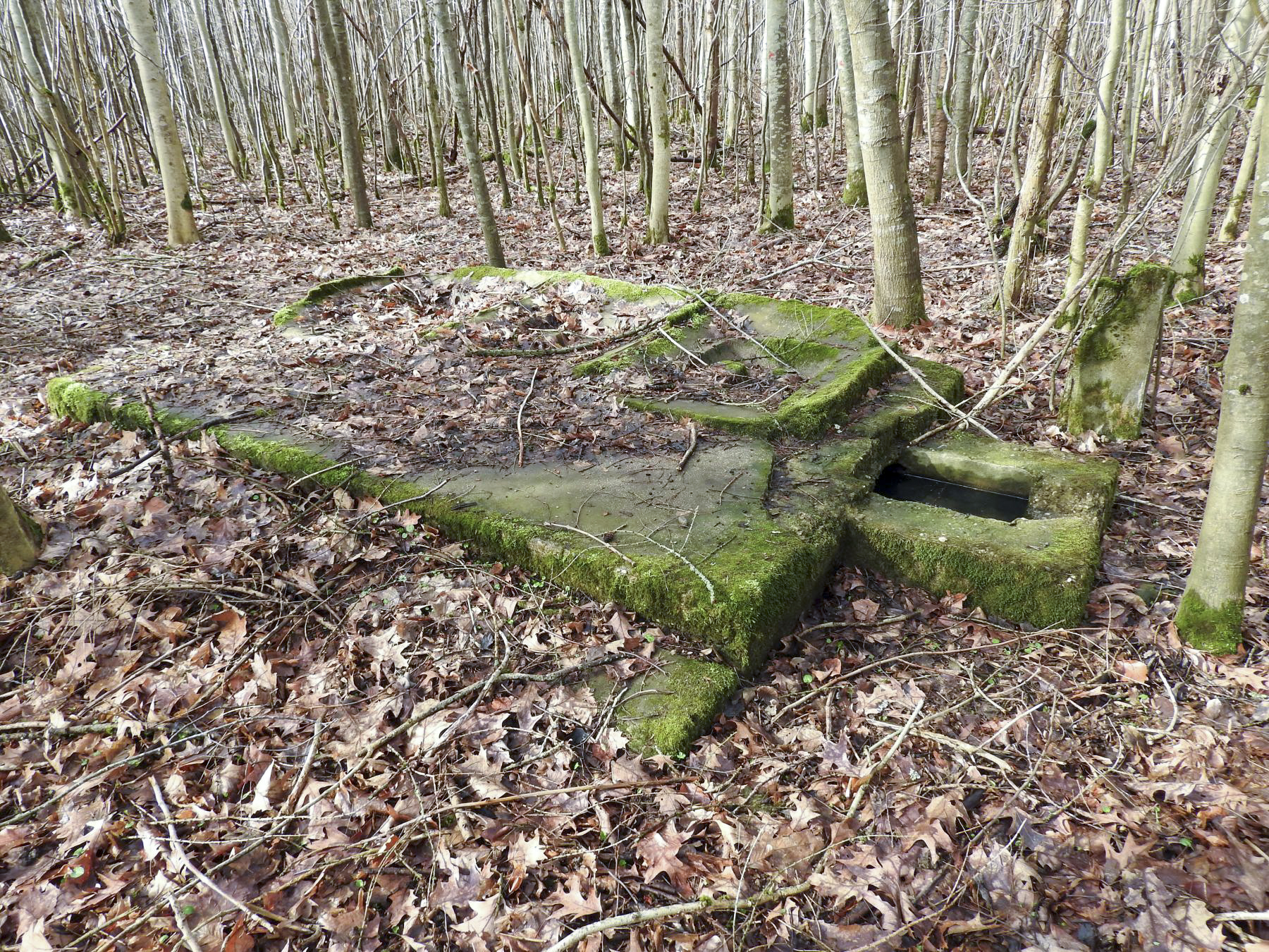 Ligne Maginot - GROS BOIS - (Casernement) - Les latrines extérieures au bâtiment. - STENGER Mathieu