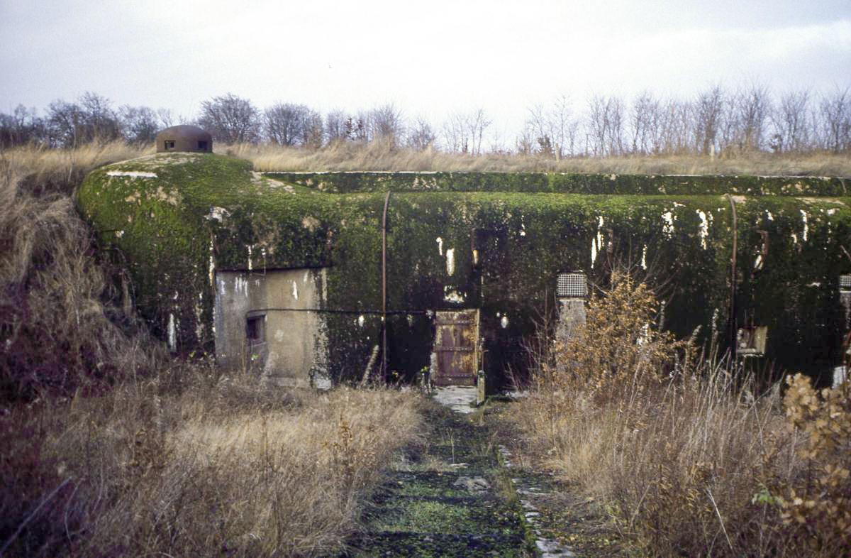Ligne Maginot - GROS BOIS - X1 (QUARTIER LUDELANGE - I/128°RIF) - (Abri) - 