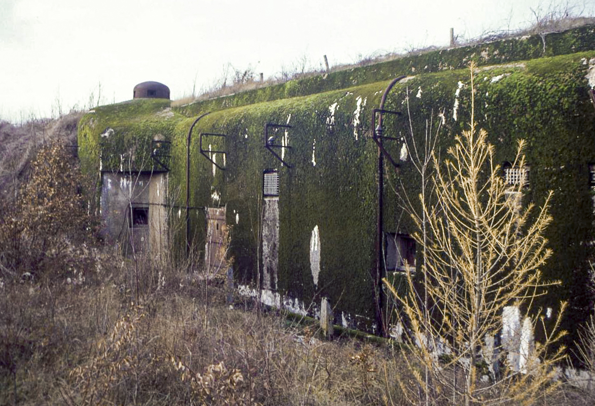 Ligne Maginot - GROS BOIS - X1 (QUARTIER LUDELANGE - I/128°RIF) - (Abri) - 