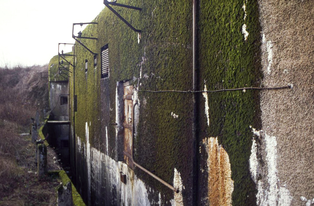 Ligne Maginot - GROS BOIS - X1 (QUARTIER LUDELANGE - I/128°RIF) - (Abri) - 