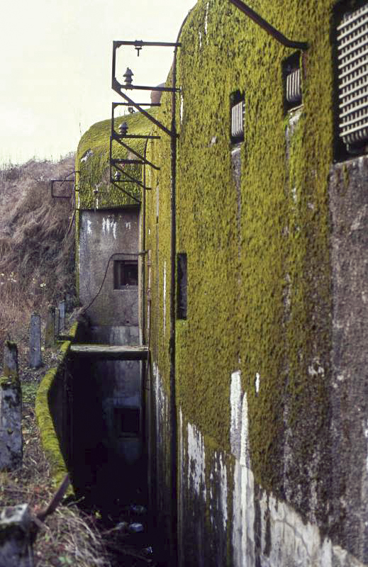 Ligne Maginot - GROS BOIS - X1 (QUARTIER LUDELANGE - I/128°RIF) - (Abri) - 
