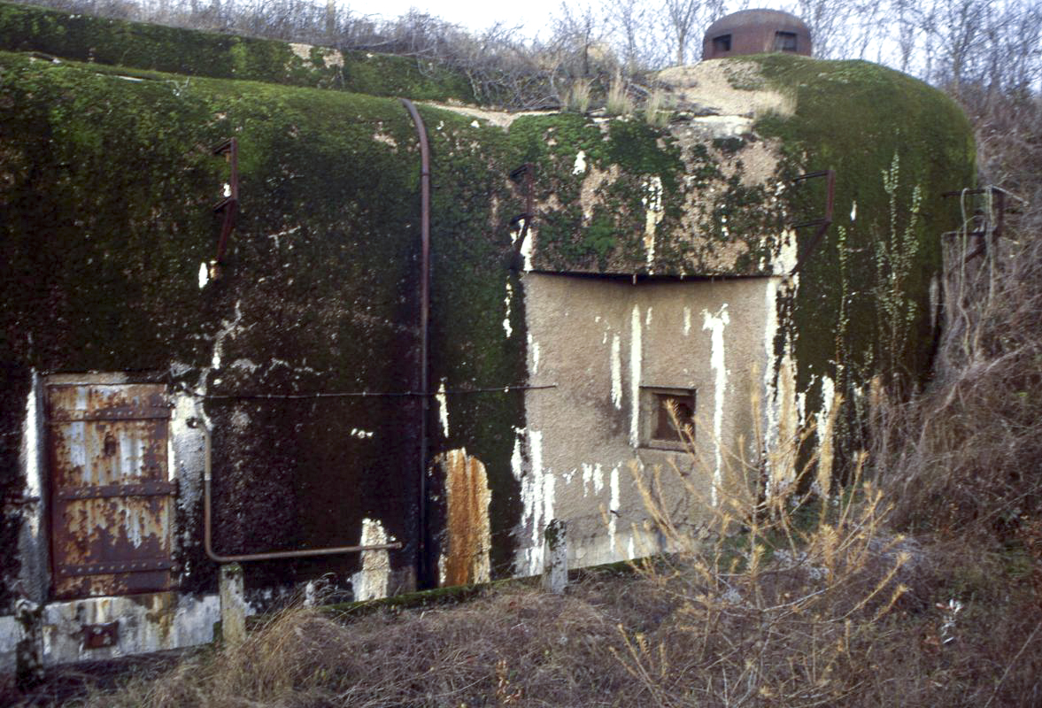 Ligne Maginot - GROS BOIS - X1 (QUARTIER LUDELANGE - I/128°RIF) - (Abri) - 