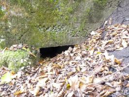 Ligne Maginot - HESTROFF NORD 6 - (Blockhaus pour canon) - Enfin trouvé l'entrée !