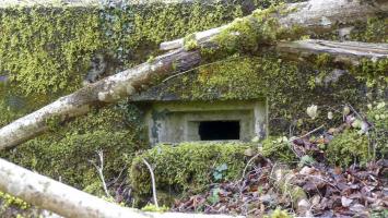 Ligne Maginot - HESTROFF NORD 6 - (Blockhaus pour arme infanterie) - 