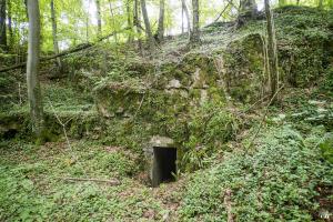 Ligne Maginot - BOIS DU LAIT - (PC) - L'entrée