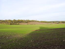 Ligne Maginot - BB226 - ROTHERBERG 04 - (Blockhaus pour arme infanterie) - Le champ de tir du créneau frontal. 