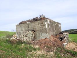 Ligne Maginot - BB205 - ROTHERBERG 02 - (Blockhaus pour canon) - Les entrées sont remblayées par des déchets végétaux.