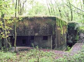 Ligne Maginot - BOIS DE KANFEN OUEST - C42 - (Casemate d'infanterie - Simple) - 