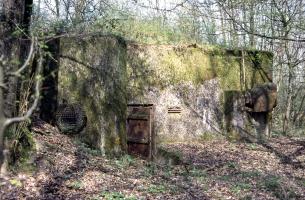 Ligne Maginot - BOIS DE KANFEN EST - C43 - (Casemate d'infanterie - Simple) - La casemate en 2002