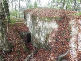 Ligne Maginot - HESTROFF NORD 2 - (Blockhaus pour arme infanterie) - L'entrée latérale avec encore sa porte en place.