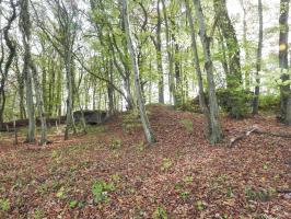 Ligne Maginot - HESTROFF NORD 2 - (Blockhaus pour arme infanterie) - Le blockhaus mitrailleuse à droite. Le blockhaus canon se trouve à sa gauche.