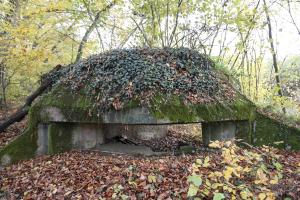 Ligne Maginot - HESTROFF NORD 1 - (Blockhaus pour arme infanterie) - Blockhaus pour mitrailleuse